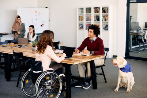 Happy black businessman colleague with disability talking while working at pet friendly office. Photos - Envato Elements