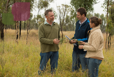 image of 3 people talking in a field