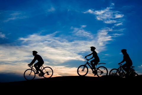 photo of bicycles