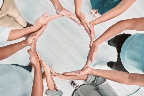 Team building, support and business people with hands in a circle for partnership, collaboration an, Photos - Envato Elements