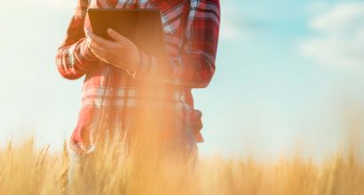 Person standing In a wheat field, decretive image